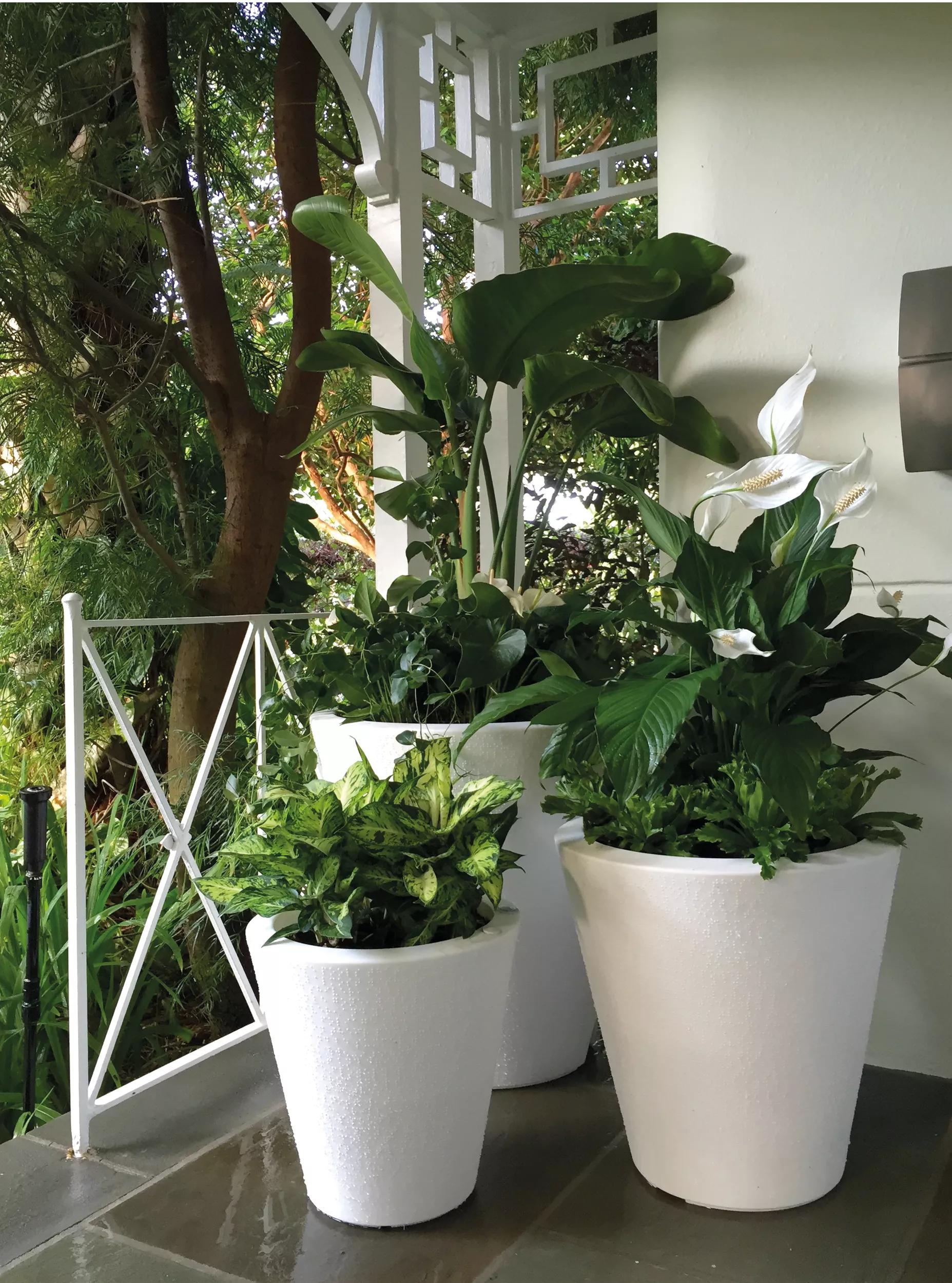 gardeners supply self watering planter Dot TruDrop Self-Watering Planters