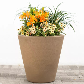  || https://assets.gardeners.com/transform/321ed1bd-7bd1-4164-b1a1-e5794616cf77/8594176_02V