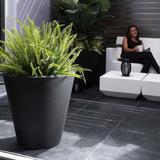  || https://assets.gardeners.com/transform/1cd4250d-9f76-48a8-b386-626dbee46bac/8594176_03V