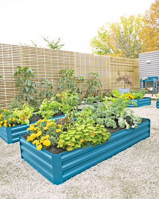 || https://assets.gardeners.com/transform/48fef308-15a3-4d1a-963c-3eba855dbdb7/8594183_0400-tif