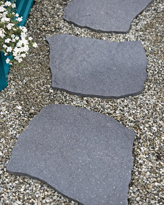  || https://assets.gardeners.com/transform/2c1f5a5d-3427-441b-a75e-6ee1a834dff2/8594282_0007-tif