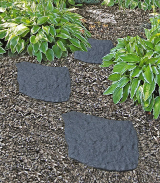  || https://assets.gardeners.com/transform/aeb9724a-345c-4be8-b359-4a780131e421/8594282_001V-tif