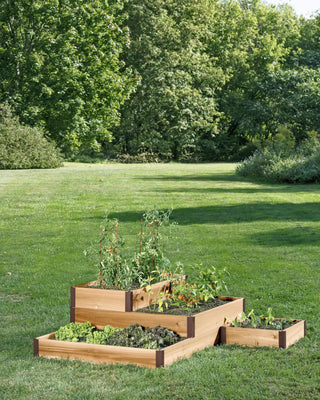  || https://assets.gardeners.com/transform/2d2cff01-4e68-4540-838f-047187d72364/8594354_640-tif