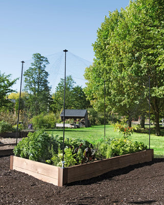  || https://assets.gardeners.com/transform/59ba1393-37de-4701-abd2-02b9e5b72eaa/8594434_0015-tif