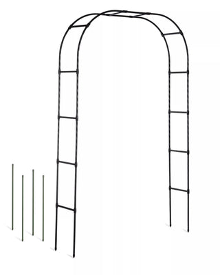  || https://assets.gardeners.com/transform/27a8992b-5efc-404b-a0aa-60cf470d726d/8594535_100-tif