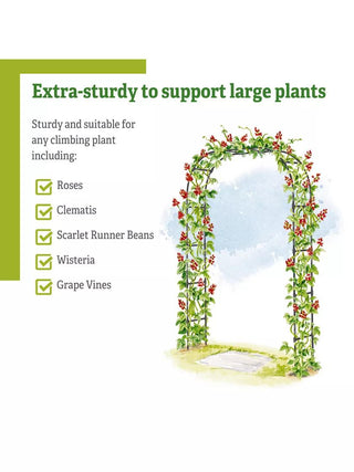  || https://assets.gardeners.com/transform/1a4ebbe0-3ab4-4b8a-880d-b68aabbc39ba/8594535_4