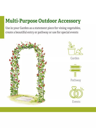  || https://assets.gardeners.com/transform/74963c53-b192-4756-86e3-70c12d32951a/8594535_6
