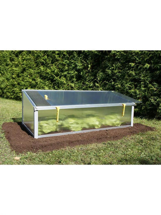  || https://assets.gardeners.com/transform/86a5a738-2f6f-41df-9ffd-70d53e32aea9/8595055_001V_3-4
