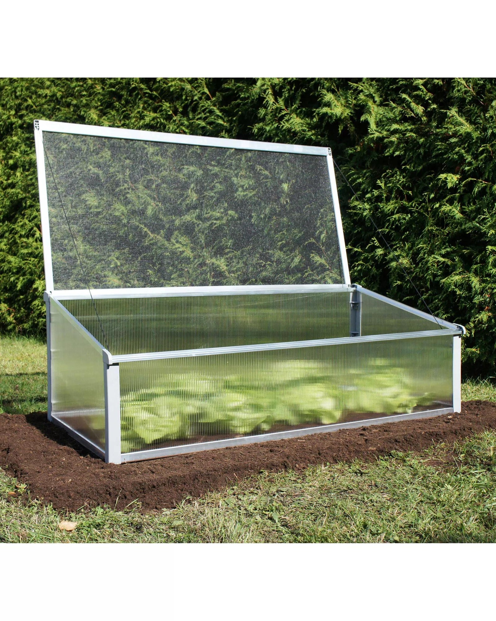 Juwel Cold Frame - Bioprotect Year-Round Cold Frame | Gardeners.com