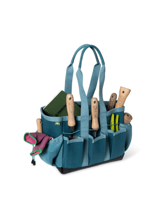  || https://assets.gardeners.com/transform/4ccef3f5-a844-4f32-8656-f4079cf14a56/8595203_0386