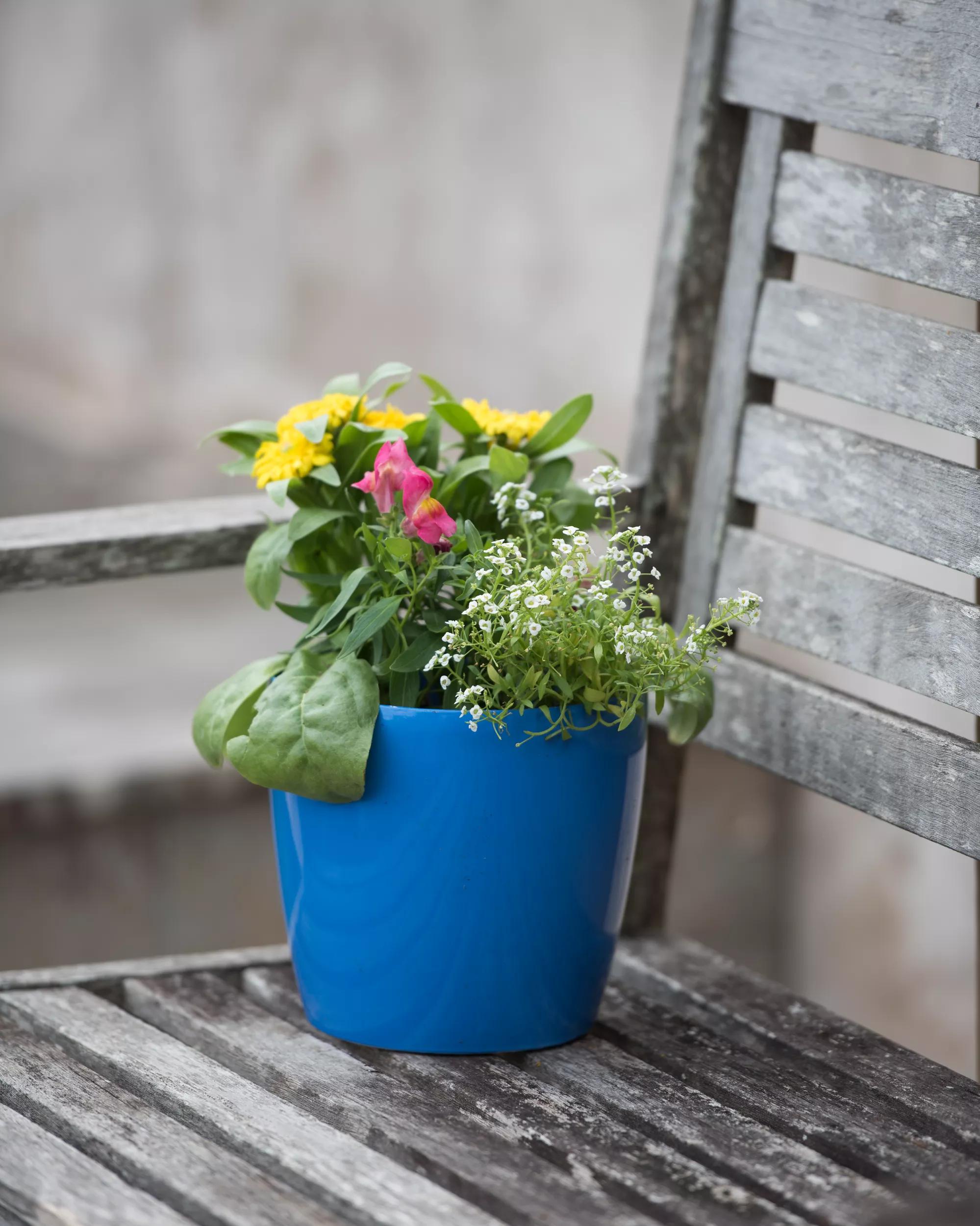 self-watering indoor outdoor planter pots Viva Small Round Indoor Outdoor Self-Watering Pot
