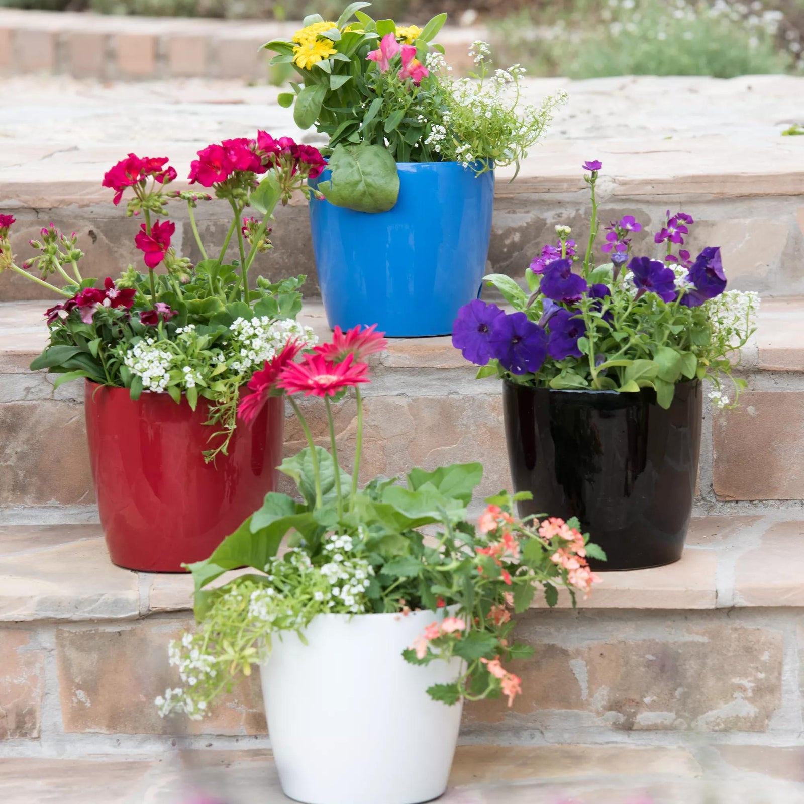 Pots & Planters for Indoors and Outdoors | Gardener’s Supply