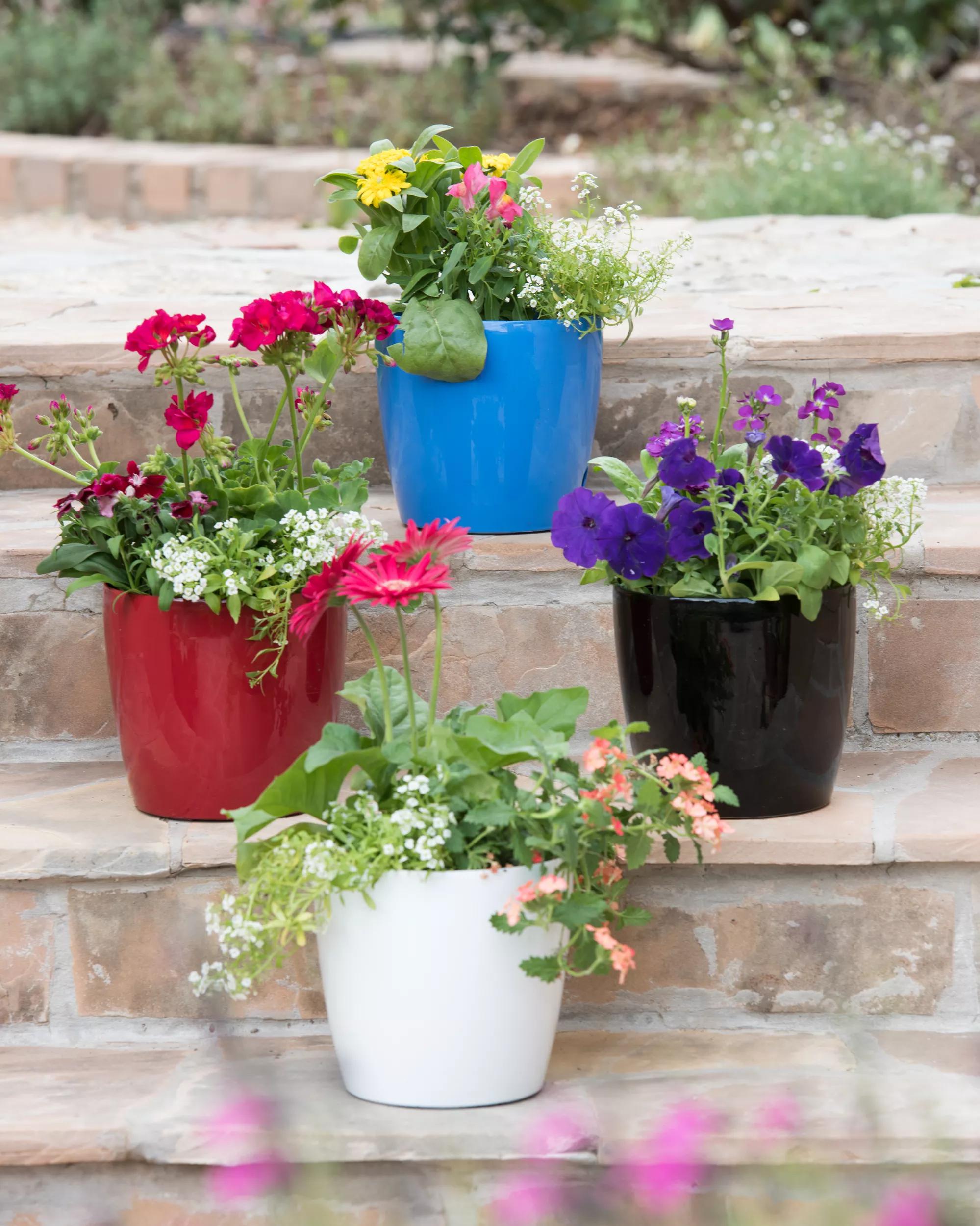 self-watering pots for indoor plants Viva Round Self-Watering Planter, 7" Diameter | Black