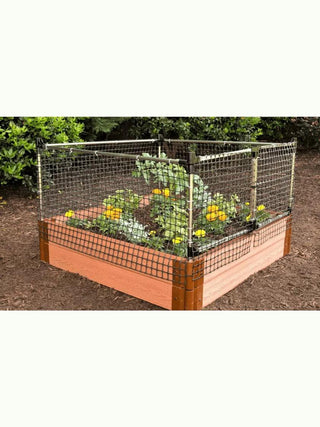  || https://assets.gardeners.com/transform/cec81a90-92b3-4614-84d6-6952618daa7d/8595353_01V-1