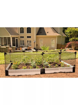  || https://assets.gardeners.com/transform/4bca40d6-fa1c-452a-a28d-101775ccb7c3/8595353_05V-1