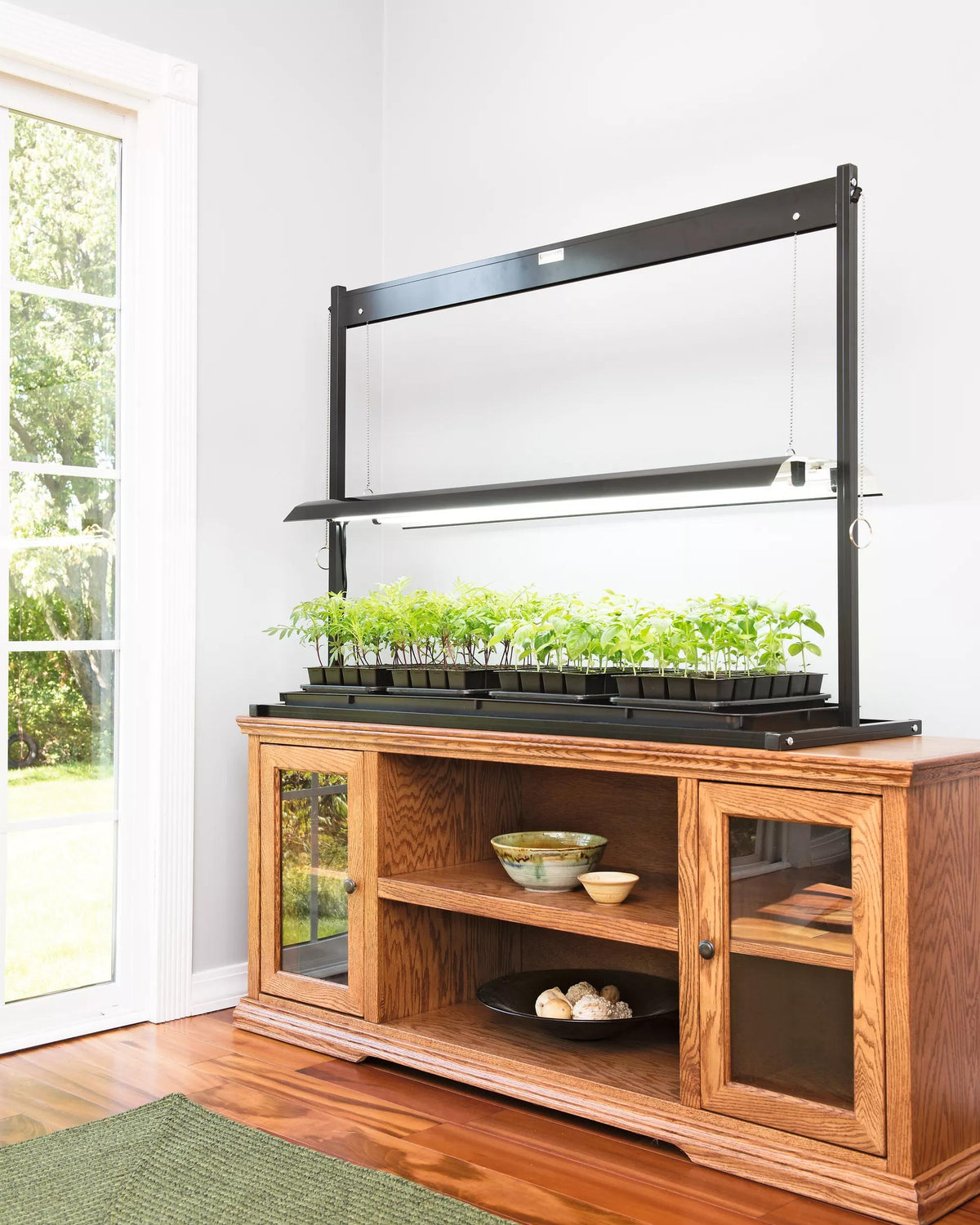Tabletop Grow Lights - Desktop Grow Lights | Gardener's Supply