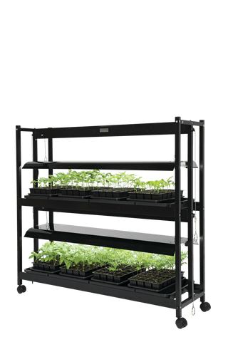  || https://assets.gardeners.com/transform/774b04d7-61c1-42fd-9050-7d6fce7a704f/8595553_10120-tif