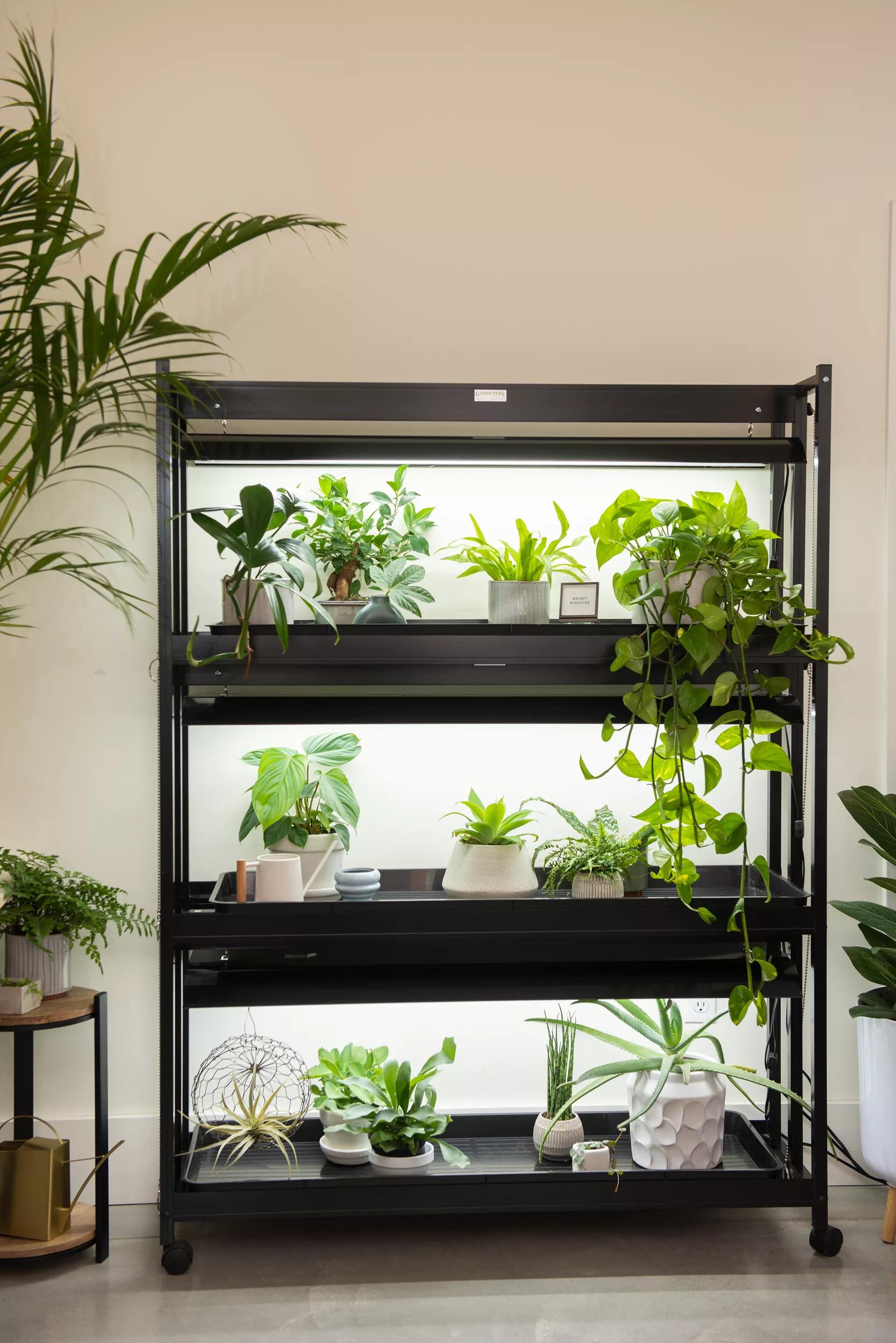 plant lights for indoor growing LED SunLite® 3-Tier Garden