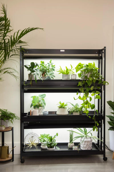 grow lights for indoor plants canadian tire LED SunLite® 3-Tier Garden