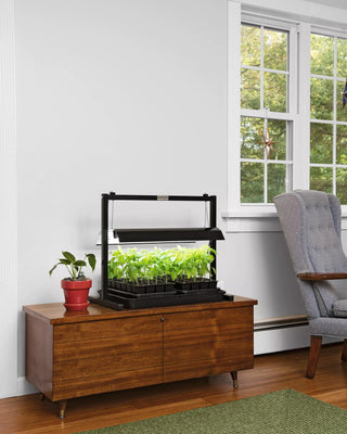  || https://assets.gardeners.com/transform/48c0ef89-fab1-4e5c-9e87-6d1dfae8ab12/8595555_101_small-led-grow-lights-sunlite-compact-tabletop-garden-tif