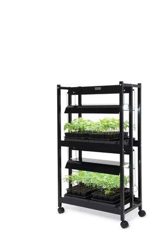  || https://assets.gardeners.com/transform/3fcc0e71-47c7-4af9-8ecb-f194f52135ac/8595556_10132-tif