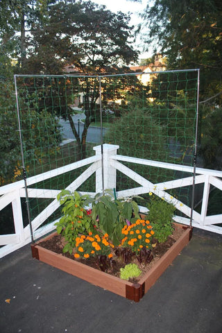  || https://assets.gardeners.com/transform/3315574d-acab-4158-9b49-463445830b75/8595683_01V-tif