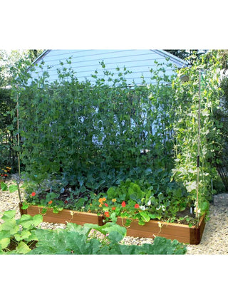  || https://assets.gardeners.com/transform/a1031044-4b50-4de2-a998-7f2505f981ac/8595683_02V_3-4