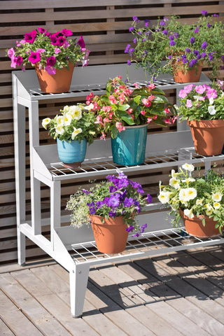  || https://assets.gardeners.com/transform/c19186e6-0396-4927-b326-b7fb09e03d9c/8595739_0555-tif