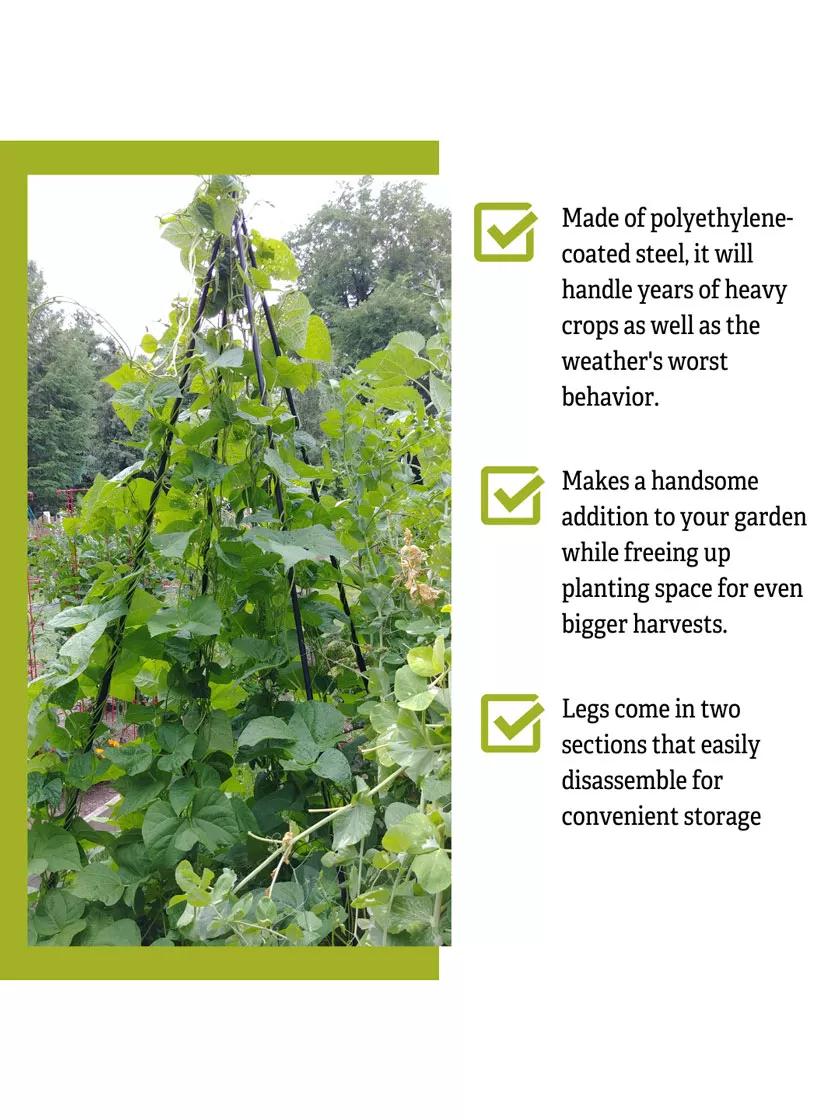 teepee plant trellis Titan Teepee Trellis for Cucumbers, Beans, Peas