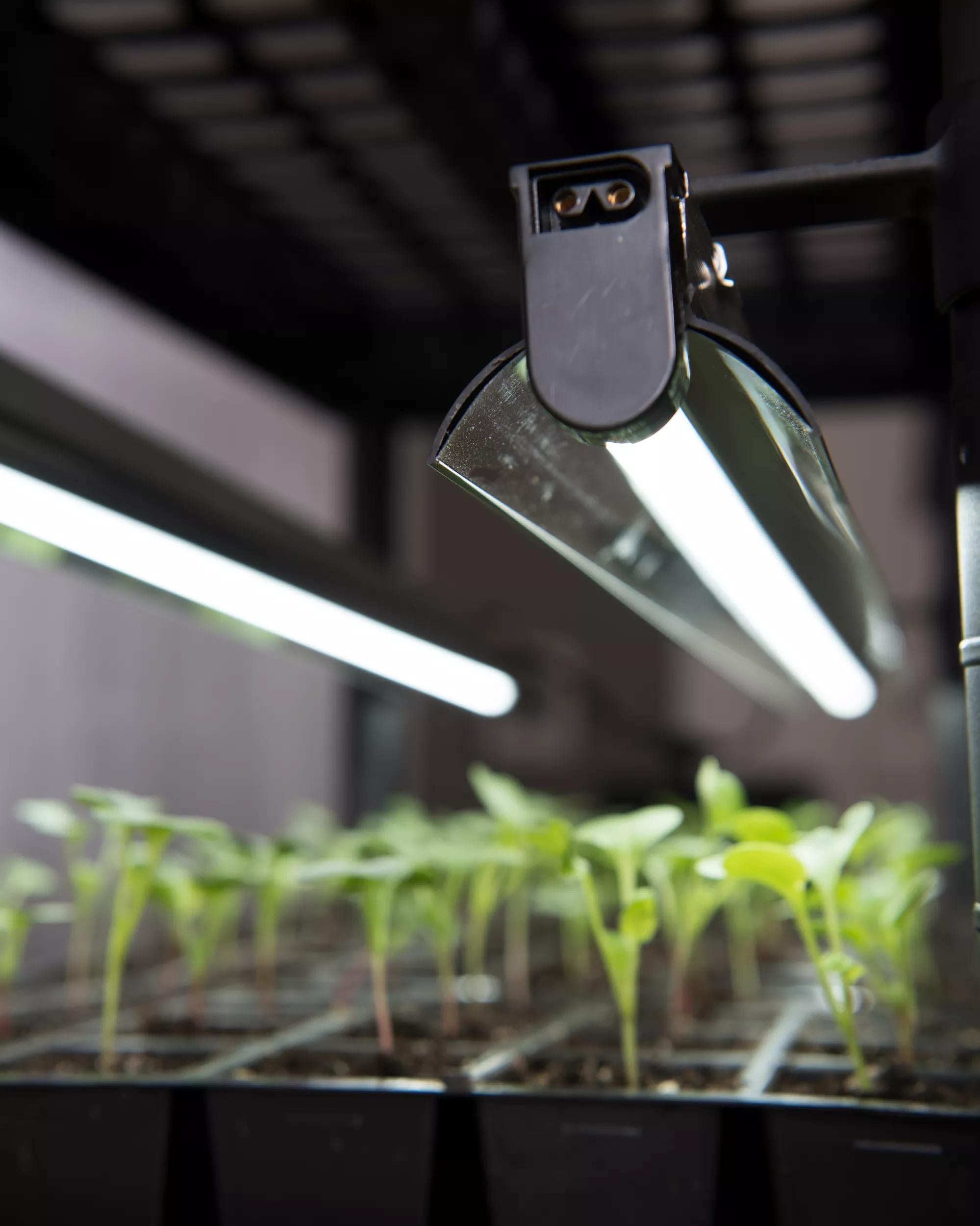 grow lights for plants led LED Stack-n-Grow Lights - Base Unit