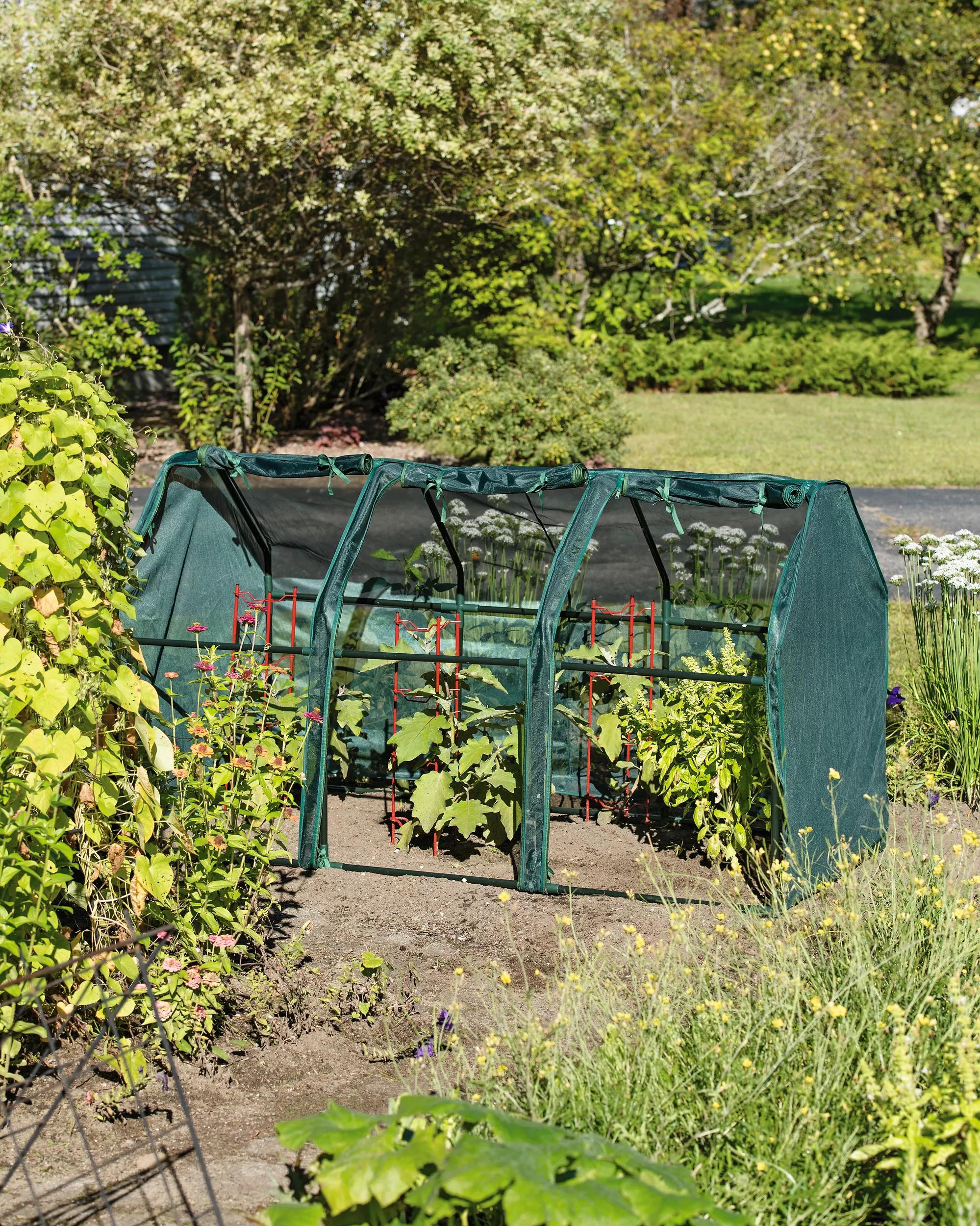 3-Season Plant Protection Tent, 3' x 6'