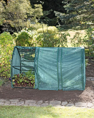  || https://assets.gardeners.com/transform/2b016b7b-af02-402e-a7ce-14df31157a44/8595806_9614-tif