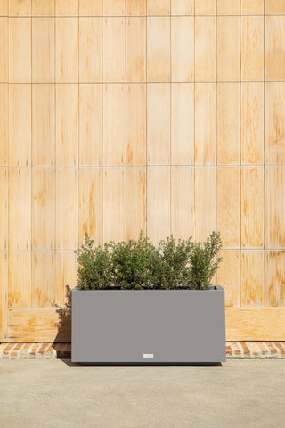  || https://assets.gardeners.com/transform/ab99298d-e396-4603-a3ac-8d65edcebacd/8596000_10V