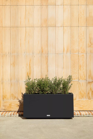  || https://assets.gardeners.com/transform/3147e668-cdac-4c3b-a784-91d1d427afa5/8596000_13V