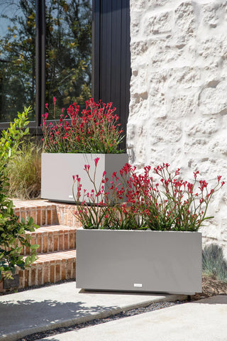  || https://assets.gardeners.com/transform/dec8ed89-1ef4-4176-be50-a267b86c05c9/8596000_15V_veradek-long-box-planter