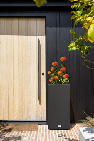  || https://assets.gardeners.com/transform/eb971122-9f04-417e-96b1-54d64f38c523/8596004_08V