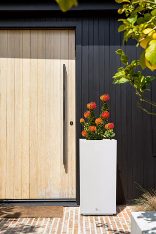  || https://assets.gardeners.com/transform/46cea17c-2af0-40e6-aedf-bdc31a58f614/8596004_12V