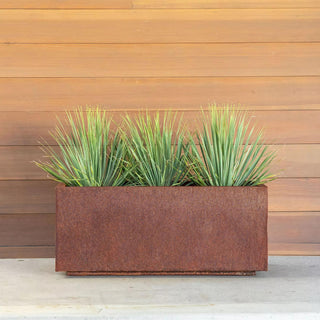  || https://assets.gardeners.com/transform/0fb644d0-e223-4fbe-ac5e-0a6bef9b3c9c/8596008_02V