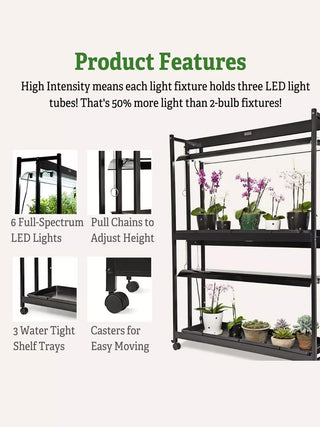  || https://assets.gardeners.com/transform/43081b6a-ed7e-4d74-99e3-af4b6ae5f6be/8596023_4