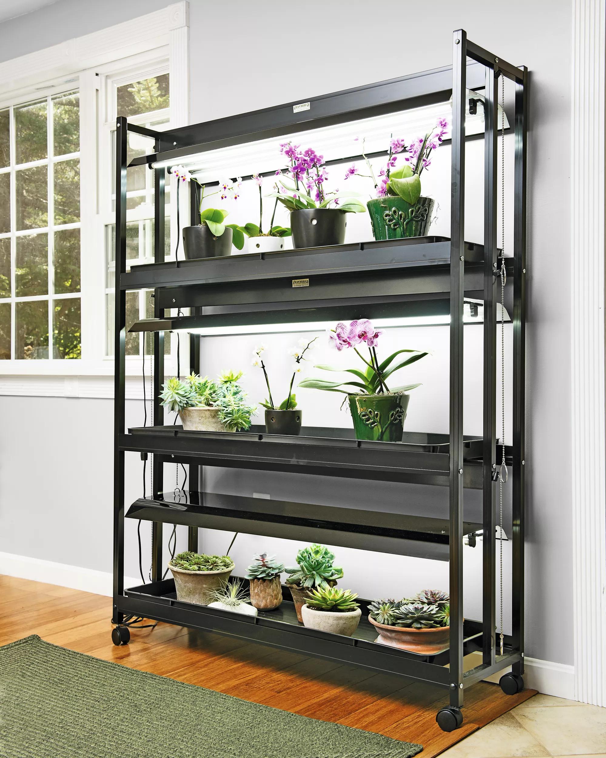 3 tier plant stand with grow lights Sunlite High Intensity 3-Tier LED Grow Light