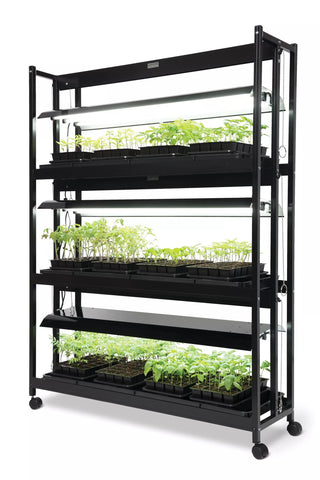  || https://assets.gardeners.com/transform/bd38b149-44e7-45c4-9bee-30f96e9fceae/8596024_10201-tif