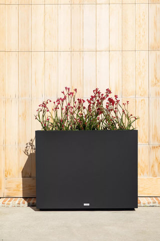  || https://assets.gardeners.com/transform/265bffeb-dd18-43bb-b460-c6e17d6c2bc1/8596125_08V