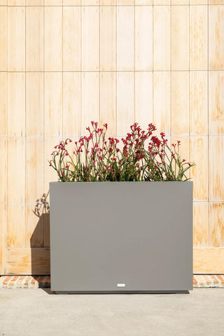  || https://assets.gardeners.com/transform/646d3b00-2676-4971-b8c1-1a84b1241fc1/8596125_10V