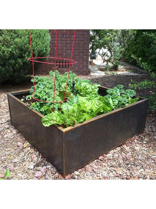  || https://assets.gardeners.com/transform/dc8e5c8a-35fd-4ad4-8e5f-990b6967f130/8596181_01V_3-4