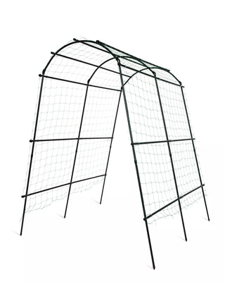  || https://assets.gardeners.com/transform/10a1d3f7-7138-4555-8149-14d705105607/8596276_3992-tif