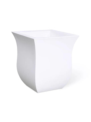  || https://assets.gardeners.com/transform/a62dae72-1861-4912-a011-ef006135013c/8596438_012V-tif