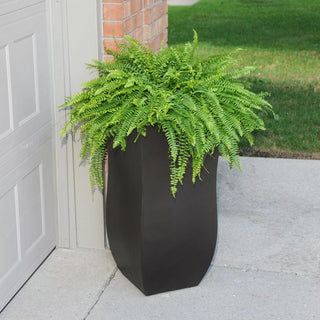  || https://assets.gardeners.com/transform/7a8e570c-cd45-4c93-afe4-d309028f949a/8596440_13V-tif