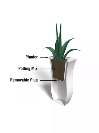  || https://assets.gardeners.com/transform/44180a20-9843-43ee-8912-441a9eb5300c/8596440_13V_3-4