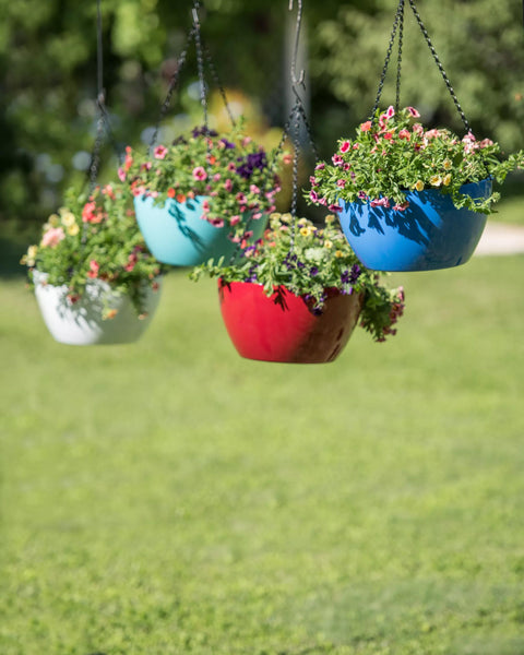 hanging plant pots Viva Self-Watering Hanging Basket, 14