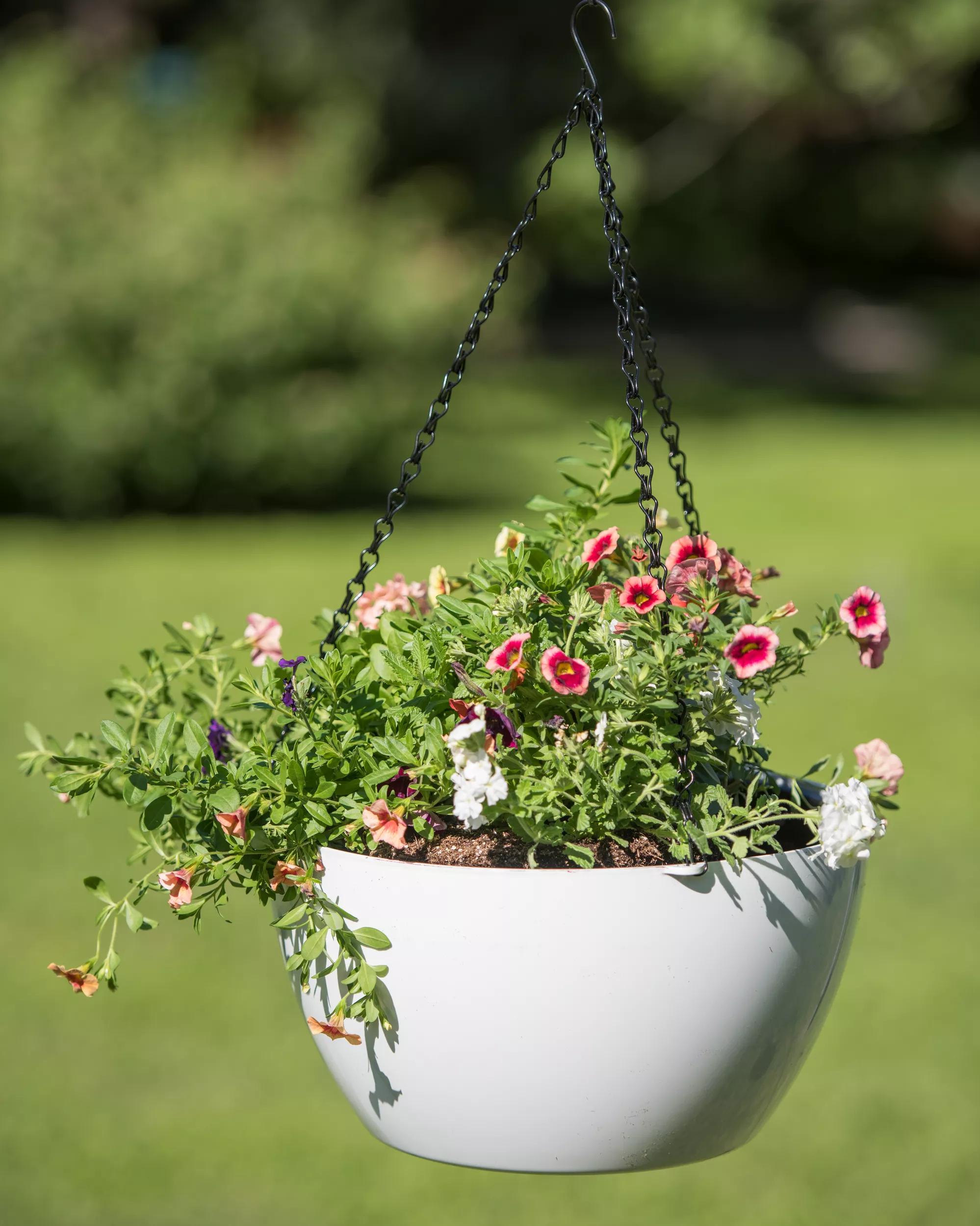 self watering hanging baskets for plants Viva™ Self-Watering Hanging Basket, 14" Diameter